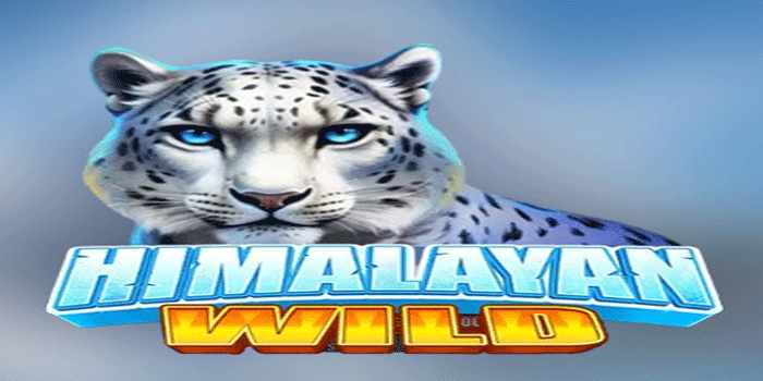 Panduan Slot Himalayan Wild Agar Cuan Besar Instan