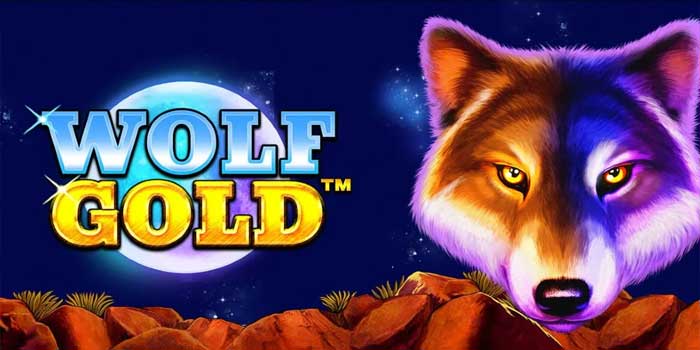 Tips Ampuh Raih Maxwin Besar di Slot Wolf Gold Tanpa Banyak Kesalahan